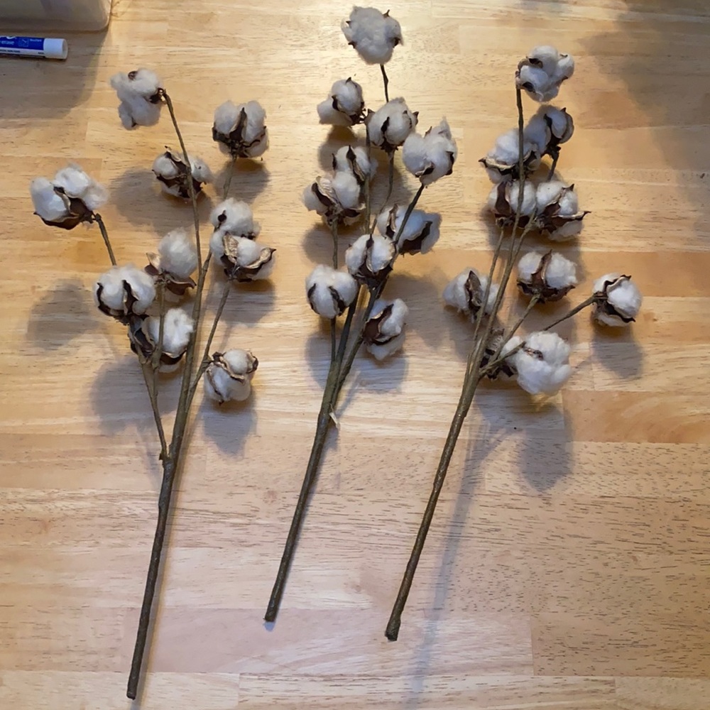 Magnolia cotton ball stems